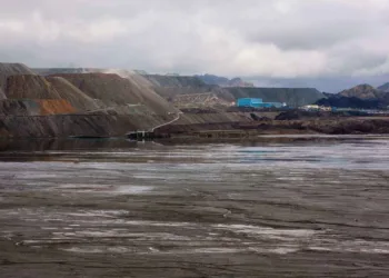 Científicos advierten que el «Súper Rigi» hipoteca el futuro de Argentina