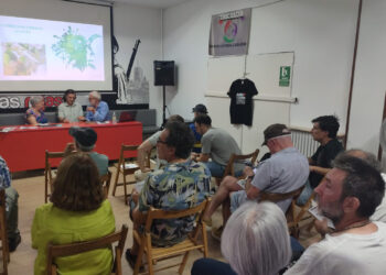 Nace una plataforma ciudadana para impulsar la creación del Corredor Urbano del Este de Madrid