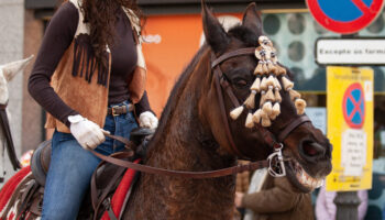 El Consejo de Protección Animal del Ayuntamiento de Barcelona avala poner fin al uso de animales en los “Tres Tombs»