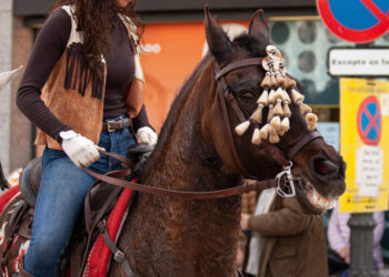 El Consejo de Protección Animal del Ayuntamiento de Barcelona avala poner fin al uso de animales en los “Tres Tombs»
