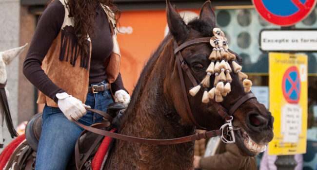 El Consejo de Protección Animal del Ayuntamiento de Barcelona avala poner fin al uso de animales en los “Tres Tombs»