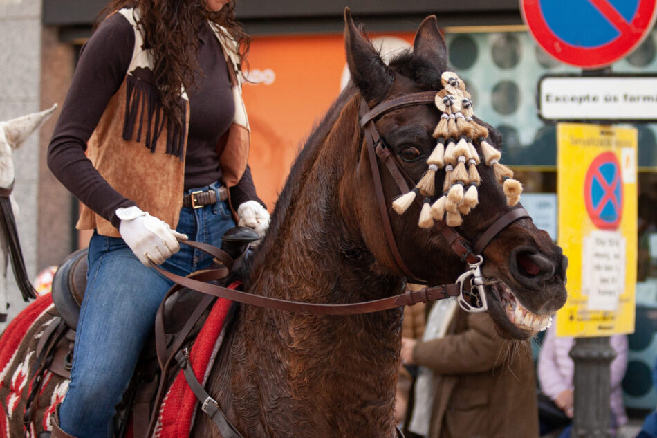 El Consejo de Protección Animal del Ayuntamiento de Barcelona avala poner fin al uso de animales en los “Tres Tombs»