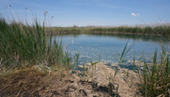 Global Nature reclama que el Plan Nacional de Restauración de la Naturaleza se aborde con presupuesto en España