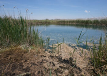 Global Nature reclama que el Plan Nacional de Restauración de la Naturaleza se aborde con presupuesto en España