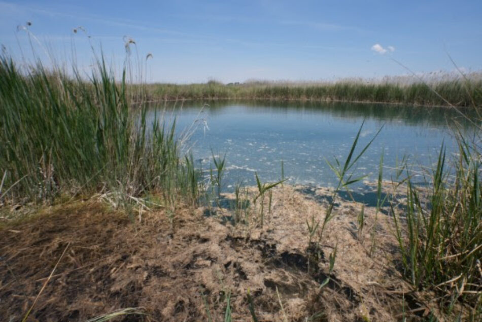 Global Nature reclama que el Plan Nacional de Restauración de la Naturaleza se aborde con presupuesto en España