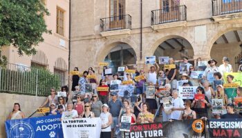 Activistas se manifiestan un año más contra los Bous a la mar de Dénia