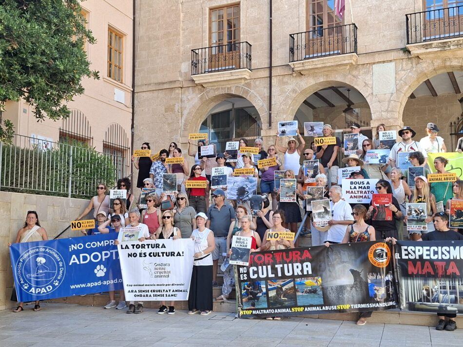 Activistas se manifiestan un año más contra los Bous a la mar de Dénia