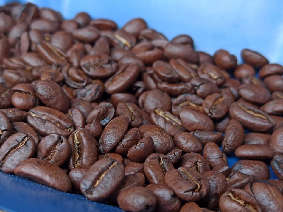 Las exportaciones de café de Nicaragua sumaron 564 millones de dólares hasta mayo