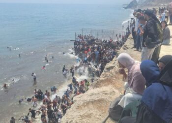 Tejiendo Redes TS: «No es una invasión: es una emergencia humanitaria con miles de personas en riesgo»