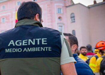 FSC-CCOO, sobre la prevención de los incendios forestales