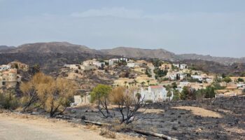 Movimiento Sumar Andalucía denuncia el abandono de la prevención forestal por parte de la Junta y reclama una auditoría independiente del Plan INFOCA