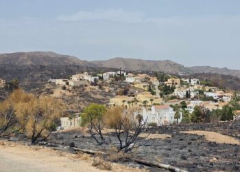Movimiento Sumar Andalucía denuncia el abandono de la prevención forestal por parte de la Junta y reclama una auditoría independiente del Plan INFOCA