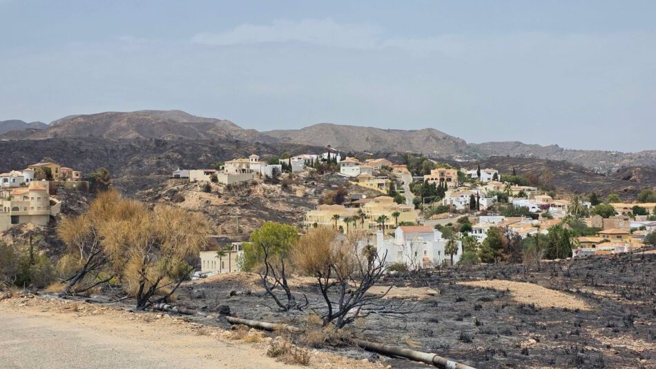 Movimiento Sumar Andalucía denuncia el abandono de la prevención forestal por parte de la Junta y reclama una auditoría independiente del Plan INFOCA
