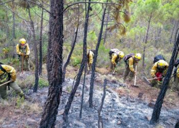 FSC-CCOO: La extinción de incendios forestales y la seguridad de quienes intervienen