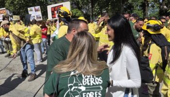 Podemos Andalucía reclama transparencia sobre el incendio de Almería y un plan de recuperación de la zona