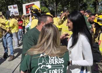 Podemos Andalucía reclama transparencia sobre el incendio de Almería y un plan de recuperación de la zona