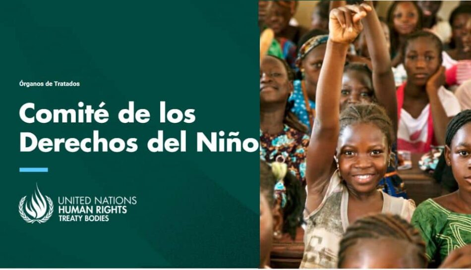 PACMA sostiene que el Parlamento vasco «se mofa» del Comité de Derechos del Niño de la ONU