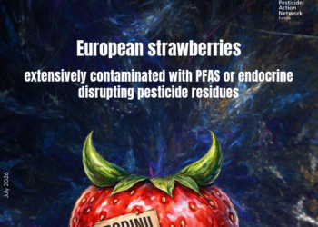 Las fresas españolas, entre las menos contaminadas por plaguicidas de Europa