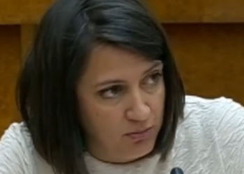 El Partido Verde reclama en el encuentro del espacio plurinacional “estar a la altura de una izquierda cansada de fotos y de siglas”