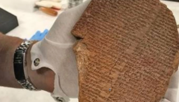 Estudio en Science estima que hace 12 mil años se hablaban entre 4.500 y 6.200 lenguas