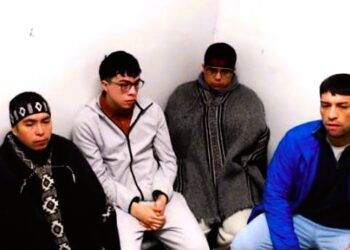Chile. Caso Lautaro. «Esta batalla no la vamos a ganar solos y sin movilización»: María Rivera, abogada de comuneros mapuche 