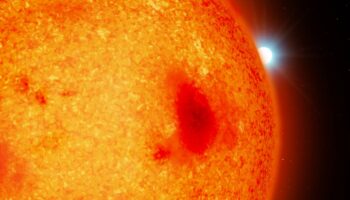 Cuatro enanas blancas se escondían en el ‘patio trasero’ de nuestro Sistema Solar