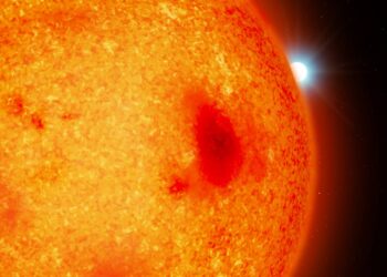 Cuatro enanas blancas se escondían en el ‘patio trasero’ de nuestro Sistema Solar