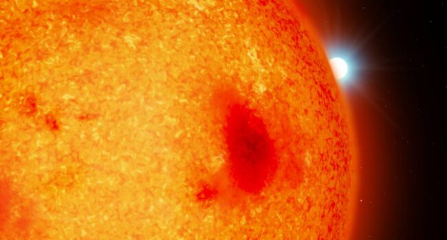 Cuatro enanas blancas se escondían en el ‘patio trasero’ de nuestro Sistema Solar