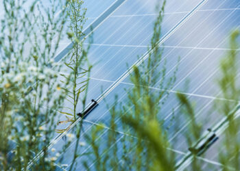 PACMA propone crear comunidades energéticas locales aprovechando las cubiertas municipales
