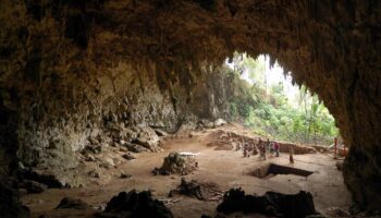 El ‘hobbit’ de Flores no cazaba ni usaba el fuego: era un carroñero que aprovechaba las sobras de los dragones de Komodo