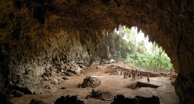 El ‘hobbit’ de Flores no cazaba ni usaba el fuego: era un carroñero que aprovechaba las sobras de los dragones de Komodo