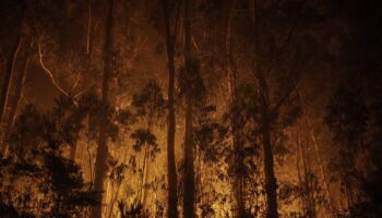 España sabe apagar incendios, pero sigue llegando tarde a prevenirlos
