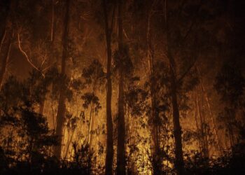 España sabe apagar incendios, pero sigue llegando tarde a prevenirlos