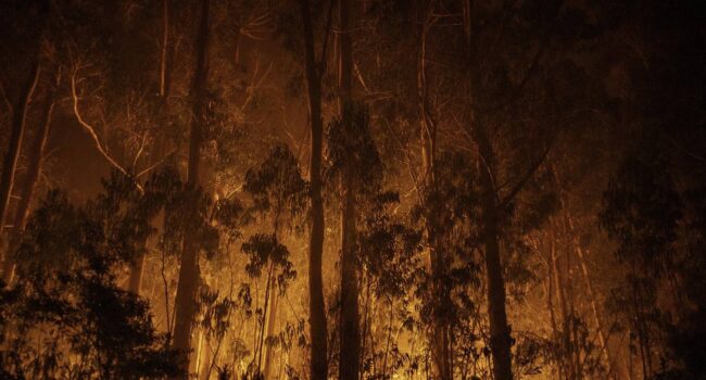 España sabe apagar incendios, pero sigue llegando tarde a prevenirlos