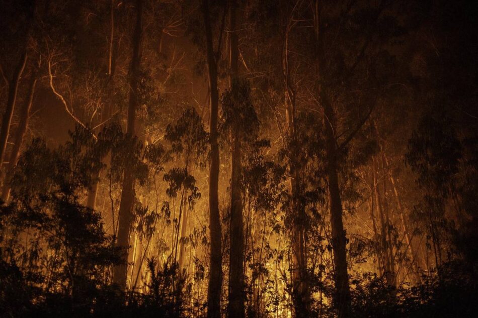 España sabe apagar incendios, pero sigue llegando tarde a prevenirlos