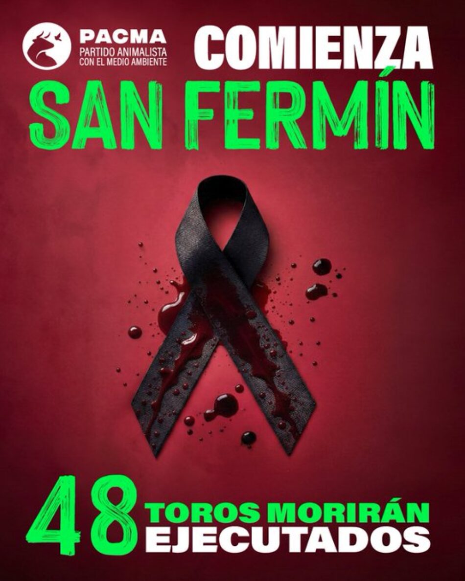 PACMA pide unos Sanfermines sin crueldad animal y recuerda que 48 toros morirán durante las fiestas