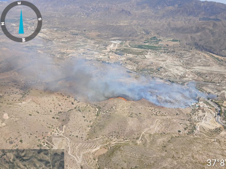 PACMA exige la dimisión del consejero de Emergencias tras la tragedia de Los Gallardos y reclama explicaciones públicas a Juanma Moreno