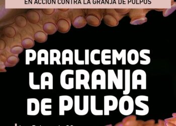 Convocan protesta para exigir el cierre de la primera granja comercial de pulpos del mundo