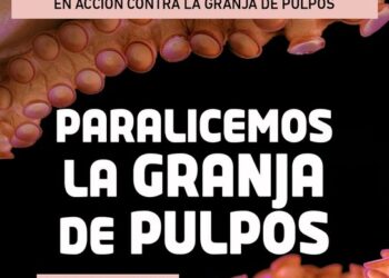 «Nueva Pescanova» retira su petición para instalar la primera granja de pulpos del mundo en Canarias