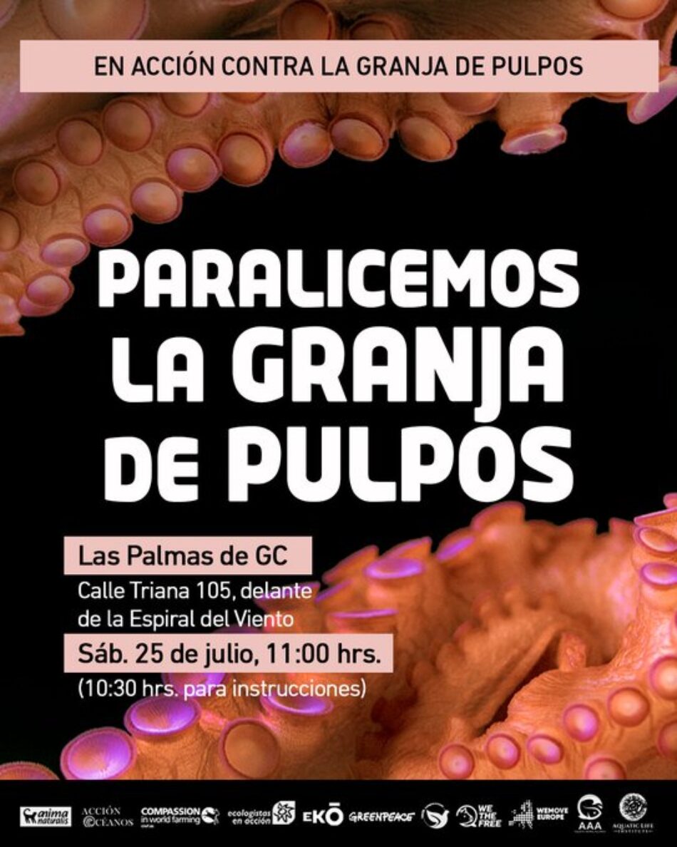 «Nueva Pescanova» retira su petición para instalar la primera granja de pulpos del mundo en Canarias