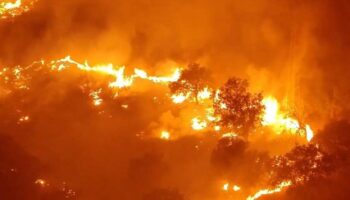 Partido Verde acusa a Ayuso de ignorar los avisos de los bomberos forestales antes del mayor incendio de la historia de Madrid