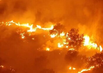 Partido Verde acusa a Ayuso de ignorar los avisos de los bomberos forestales antes del mayor incendio de la historia de Madrid