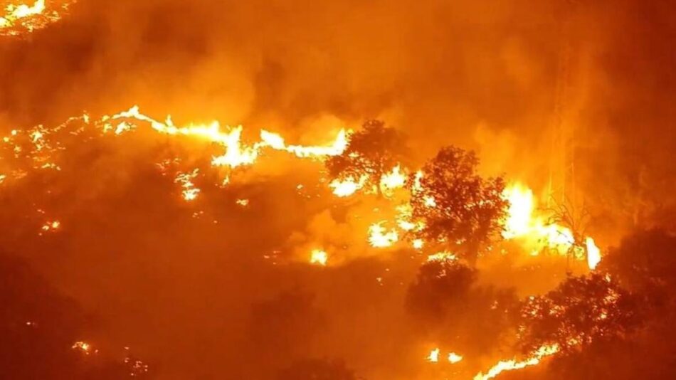 Partido Verde acusa a Ayuso de ignorar los avisos de los bomberos forestales antes del mayor incendio de la historia de Madrid