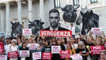 La iniciativa «No Es Mi Cultura» respaldada por más de 715.000 ciudadanos para eliminar la tauromaquia como Patrimonio Cultural vuelve al Congreso de la mano de 50 diputados