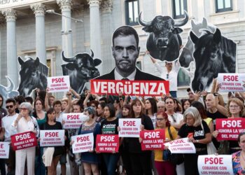 La iniciativa «No Es Mi Cultura» respaldada por más de 715.000 ciudadanos para eliminar la tauromaquia como Patrimonio Cultural vuelve al Congreso de la mano de 50 diputados
