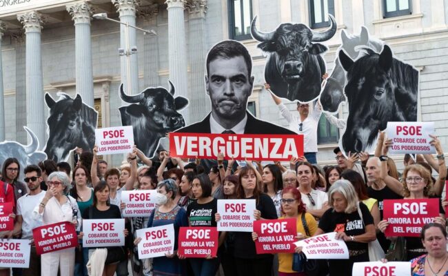 La iniciativa «No Es Mi Cultura» respaldada por más de 715.000 ciudadanos para eliminar la tauromaquia como Patrimonio Cultural vuelve al Congreso de la mano de 50 diputados