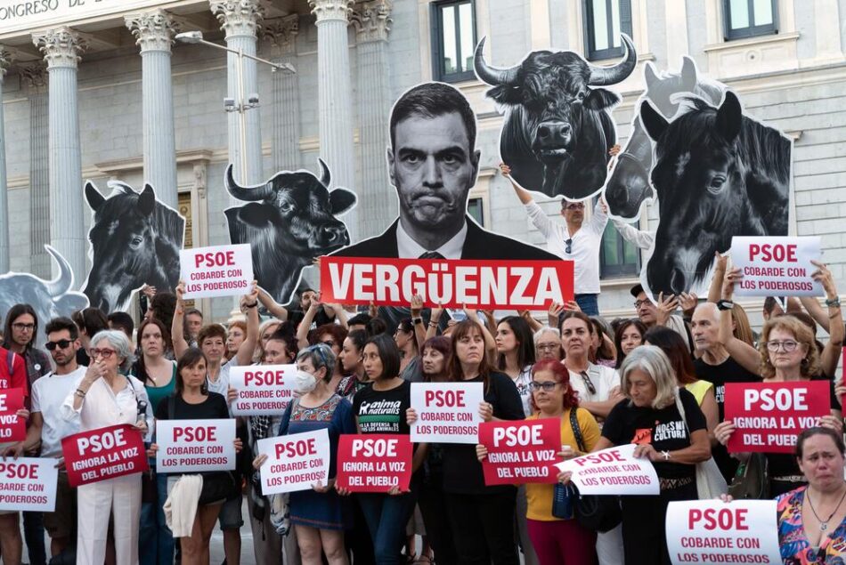 La iniciativa «No Es Mi Cultura» respaldada por más de 715.000 ciudadanos para eliminar la tauromaquia como Patrimonio Cultural vuelve al Congreso de la mano de 50 diputados