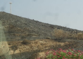 La Coordinadora Ecologista Almeriense pone nombres y apellidos a los causantes del incendio forestal de Bédar y los Gallardos