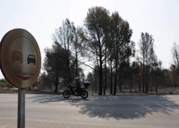 La Organización Meteorológica Mundial (OMM) advierte de que el cambio climático aumenta el riesgo de incendios, aunque no sea el único factor
