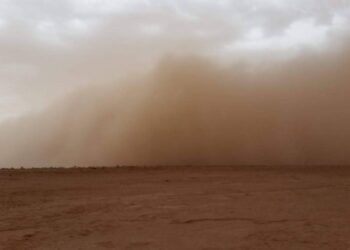 La concentración de polvo del desierto en el aire ha aumentado hasta un 25 % en Europa
